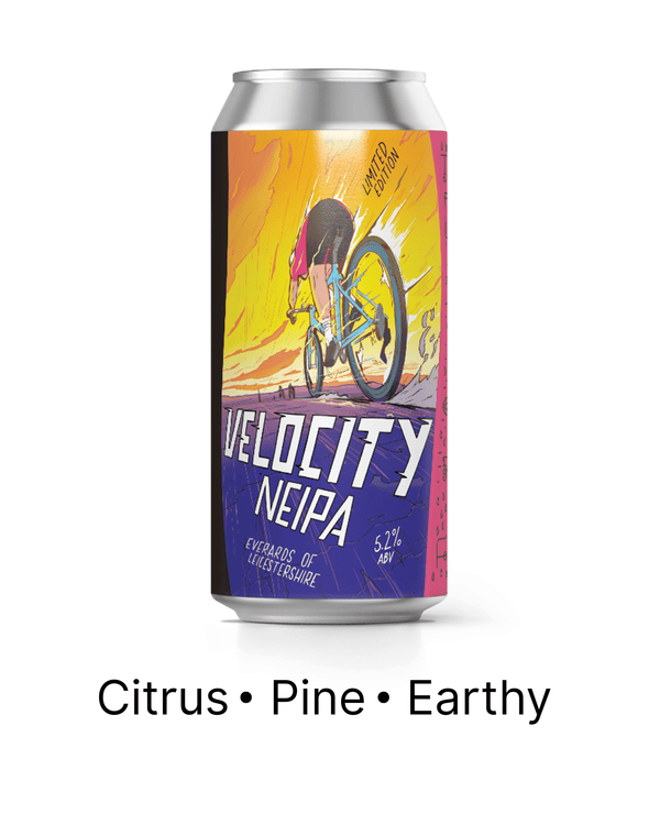 Velocity
